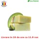 Sapun natural cu ulei de Avocado